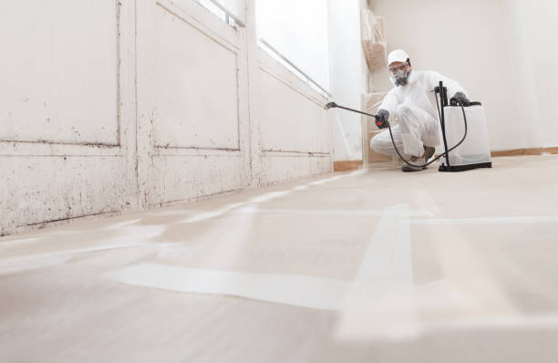 24/7 Emergency Mold Remediation experts in Bridgeport, IL